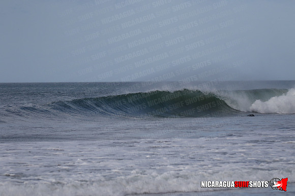 NSS_0078_Panga_Drops_January_29_2022_LR