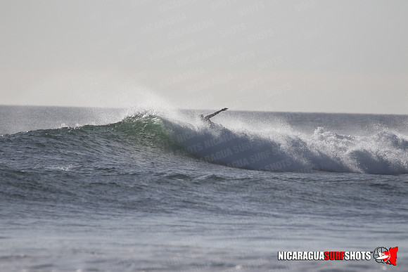 NSR_0418_Panga_Drops_January_23_2022_LR