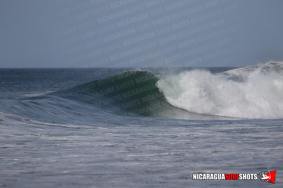 NSS_0164_Panga_Drops_January_29_2022_LR
