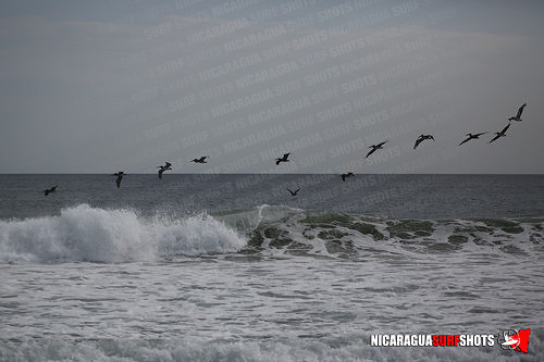 NSR_0797_Colorados_PM_April_13_2021_Logo