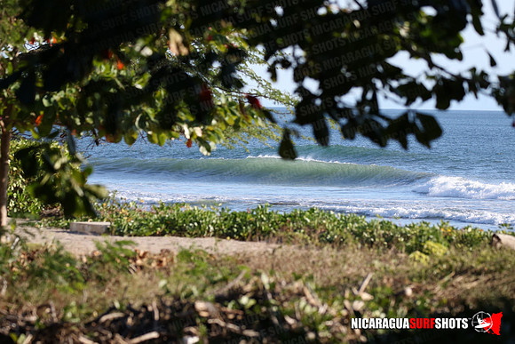 NSR_0013_Panga_Drops_January_16_2022_LR