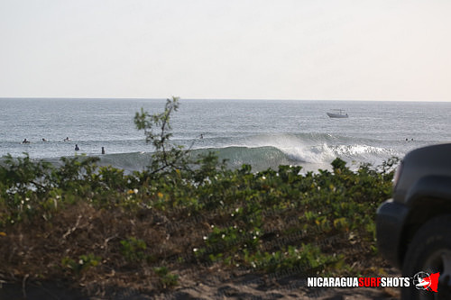 NSR_0003_Panga_Drops_April_12_2021_LR