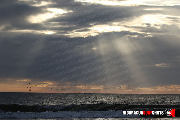 NSR_0667_Panga_Drops_January_26_2022_LR