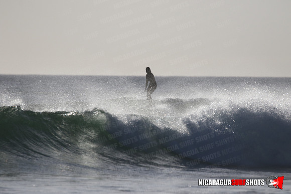 NSR_0446_Panga_Drops_January_23_2022_LR