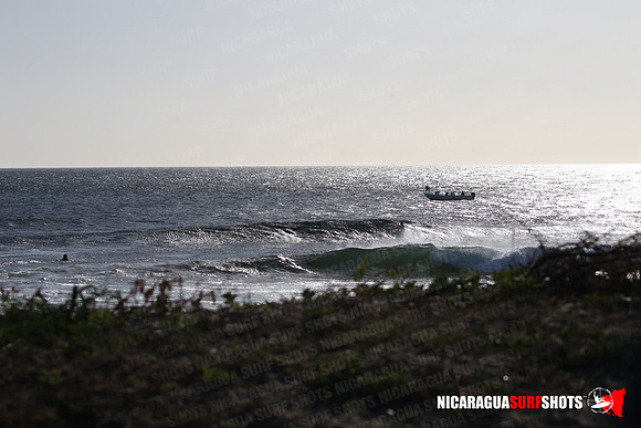 NSR_0008_Panga_Drops_January_23_2022_LR