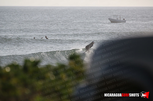 NSR_0022_Panga_Drops_April_12_2021_LR
