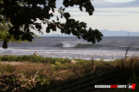 NSR_0090_Panga_Drops_January_26_2022_LR