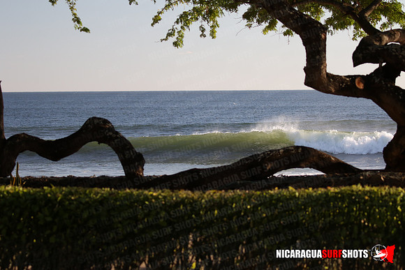 NSR_0006_Panga_Drops_February_02_2022_LR