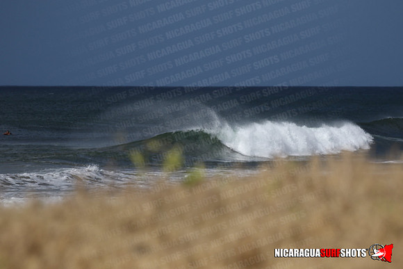 NSR_0003_Panga_Drops_January_25_2022_LR