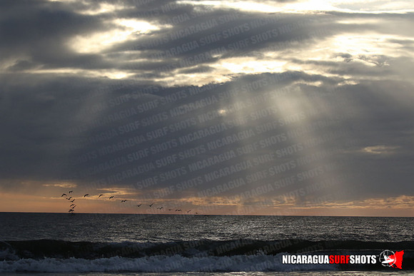 NSR_0668_Panga_Drops_January_26_2022_LR