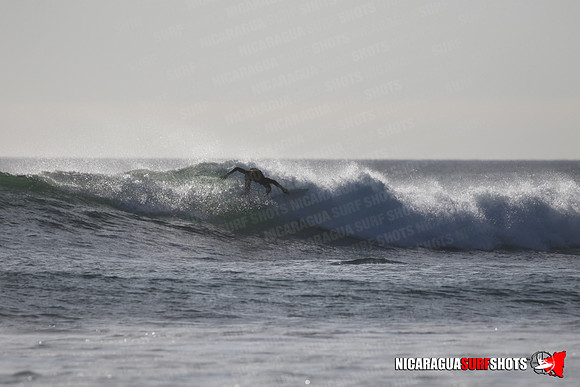NSR_0195_Panga_Drops_January_23_2022_LR