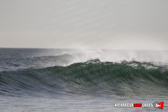 NSR_0324_Panga_Drops_January_23_2022_LR