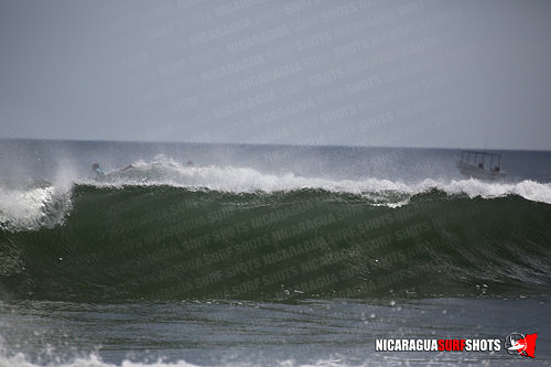 NSR_0628_Panga_Drops_April_11_2021_LR