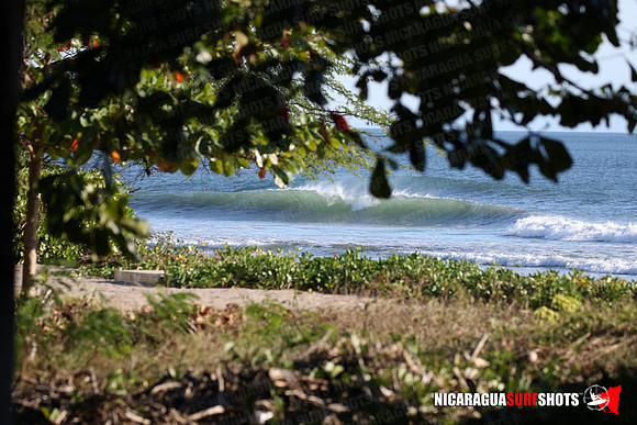 NSR_0015_Panga_Drops_January_16_2022_LR