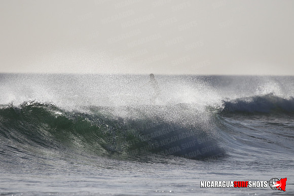 NSR_0441_Panga_Drops_January_23_2022_LR