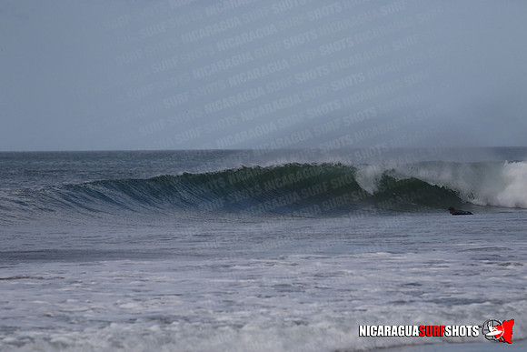 NSS_0076_Panga_Drops_January_29_2022_LR