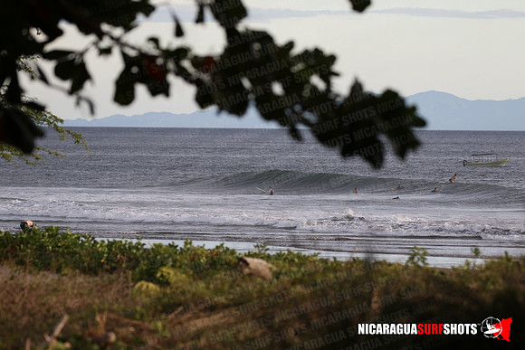 NSR_0128_Panga_Drops_January_26_2022_LR