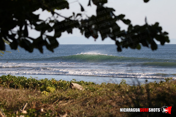 NSR_0090_Panga_Drops_January_16_2022_LR