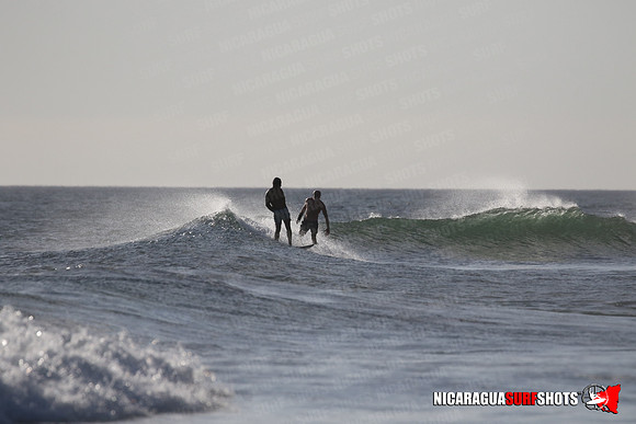 NSR_0354_Panga_Drops_January_23_2022_LR