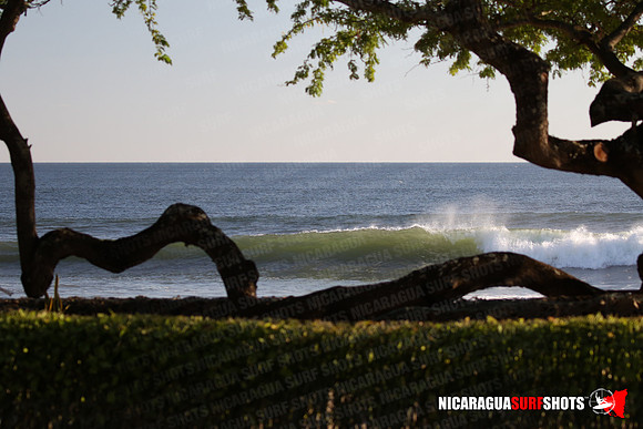 NSR_0008_Panga_Drops_February_02_2022_LR