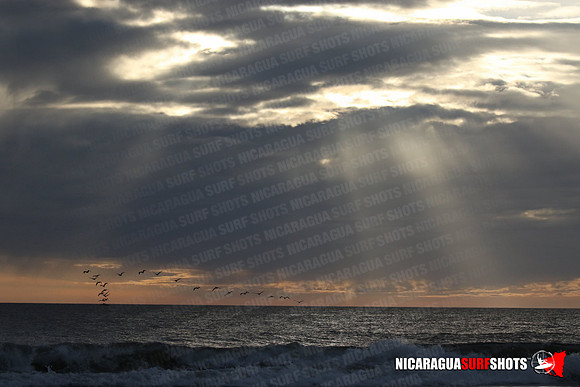 NSR_0671_Panga_Drops_January_26_2022_LR