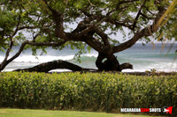 NSR_0001_2021_Panga_Drops_April_06_2021_LR