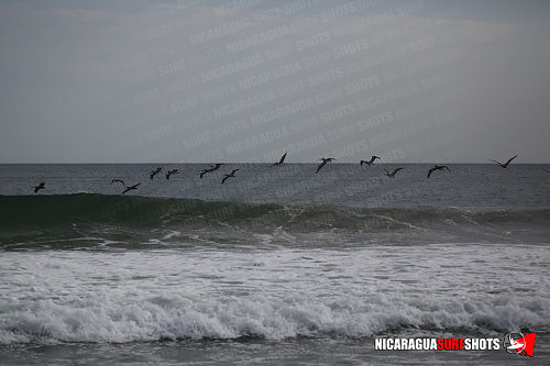 NSR_0788_Colorados_PM_April_13_2021_Logo