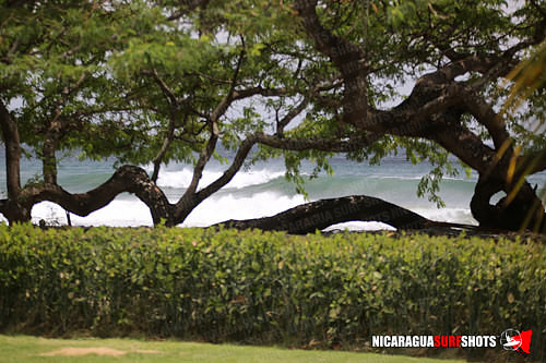 NSR_0013_2021_Panga_Drops_April_06_2021_LR