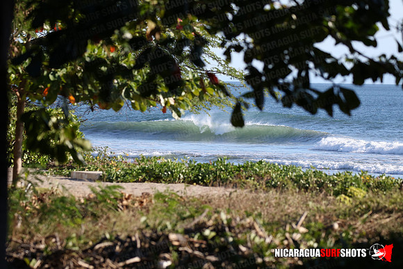 NSR_0016_Panga_Drops_January_16_2022_LR