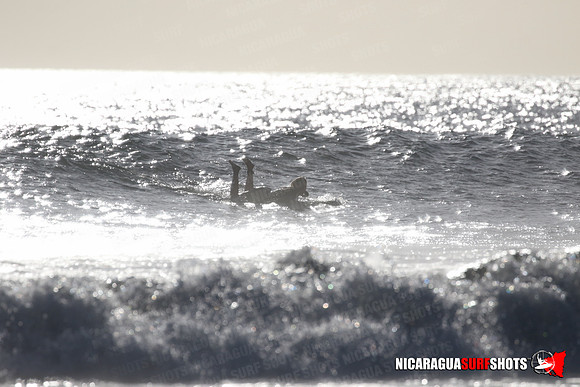 NSR_0267_Panga_Drops_January_23_2022_LR