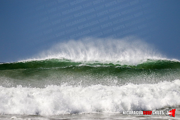 NSR_1002_Panga_Drops_January_25_2022_CC_Logo