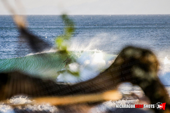 NSR_0113_Panga_Drops_January_18_2022_CC_Logo