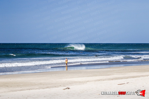 NSR_1374_Panga_Drops_January_25_2022_CC_Logo