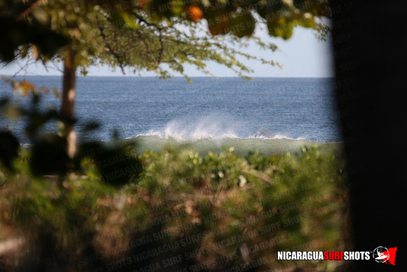 NSR_0001_Panga_Drops_January_16_2022_LR