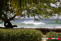 NSR_0020_2021_Panga_Drops_April_06_2021_LR