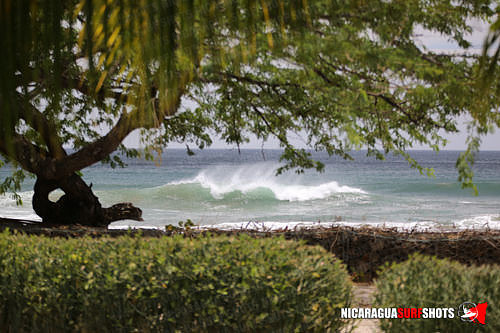 NSR_0020_2021_Panga_Drops_April_06_2021_LR