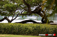NSR_0015_2021_Panga_Drops_April_06_2021_LR