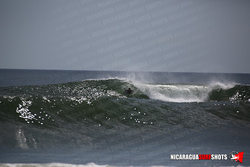 NSR_0624_Panga_Drops_April_11_2021_LR