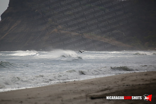 NSR_0088_Colorados_PM_April_13_2021_Logo