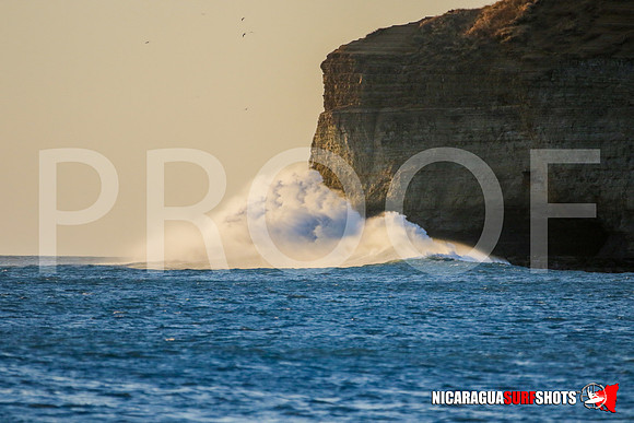 NSR_0836_Manzanillo_Feb_01_2020_CC_Logo_LR