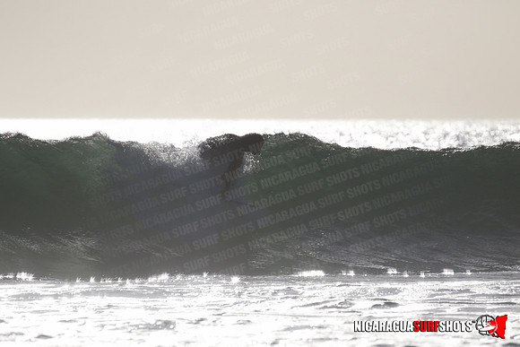 NSR_0229_Panga_Drops_January_23_2022_LR