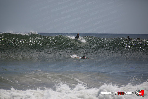 NSR_0690_Panga_Drops_April_11_2021_LR