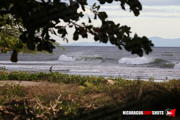 NSR_0124_Panga_Drops_January_26_2022_LR