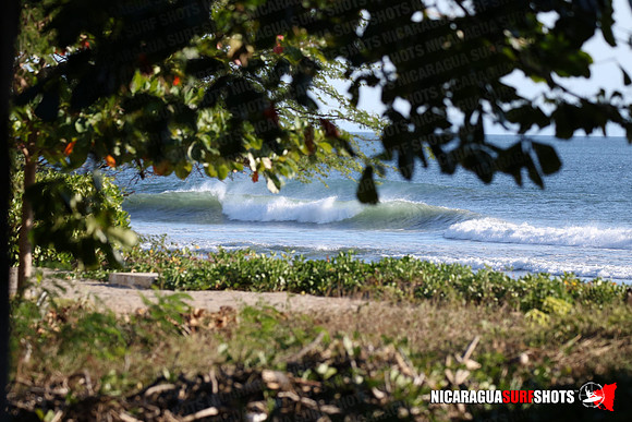 NSR_0019_Panga_Drops_January_16_2022_LR