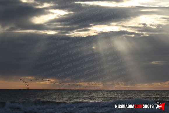 NSR_0674_Panga_Drops_January_26_2022_LR