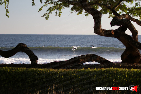 NSR_0018_Panga_Drops_February_02_2022_LR