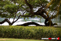 NSR_0014_2021_Panga_Drops_April_06_2021_LR