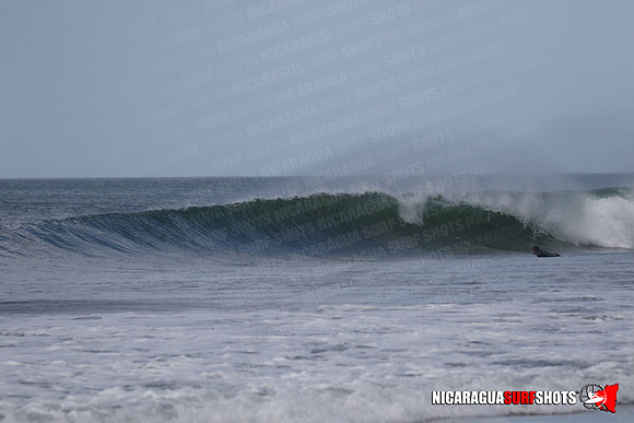 NSS_0075_Panga_Drops_January_29_2022_LR