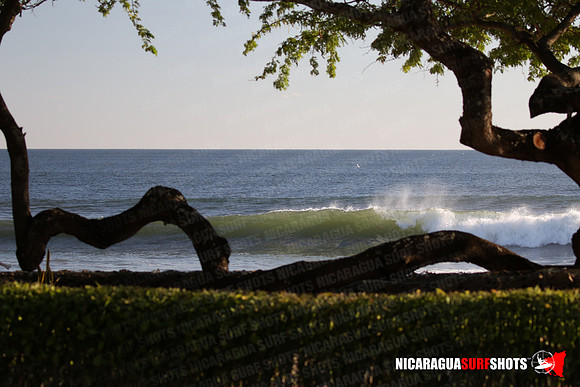 NSR_0009_Panga_Drops_February_02_2022_LR