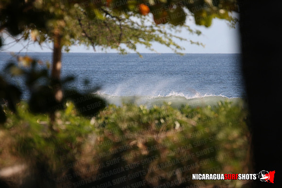NSR_0004_Panga_Drops_January_16_2022_LR